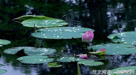 有关一曲断肠诉不尽离殇的句子