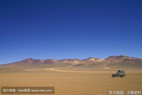 《达利：不朽之旅》经典观后感集