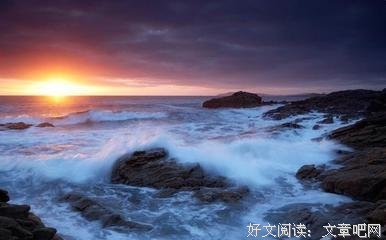 心甘情愿，这个词，勇敢又卑微