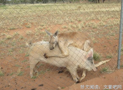 下一次恋爱，我一定不会这样做