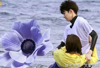杨超越，你也太乱了吧。