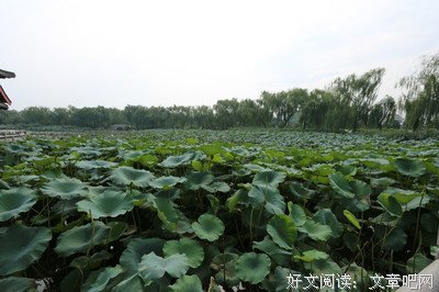 关于绘声绘色的名言