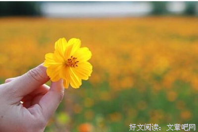 关于听天由命的格言