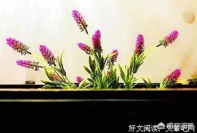描写称心如意的语句摘抄