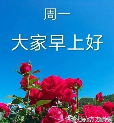 怪我太笨的句子