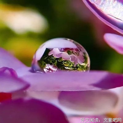 我在意你的余光优美的句子