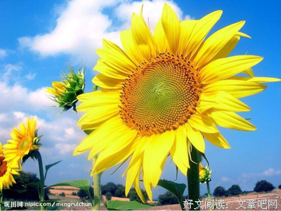 与其抱怨，不如改变