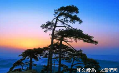关于石头曾有情，情打上有泪。的优美句子