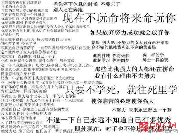 中考语录