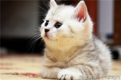 越大月自会座右铭经典名句