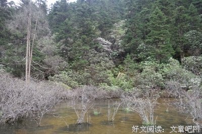 骑实看语录