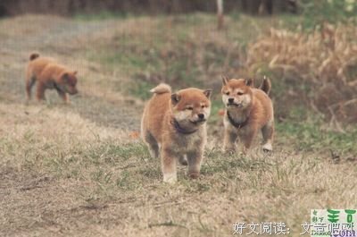《我们遇见的奇迹》好看吗？经典影评锦集