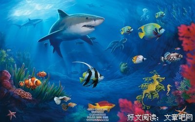 《茶个究竟—没有入口的世界》经典读后感有感