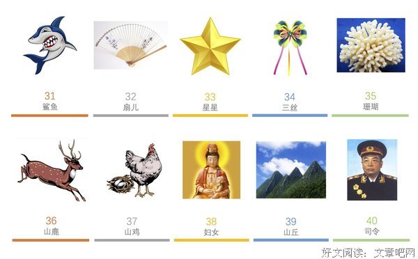 《记忆编码》读后感锦集