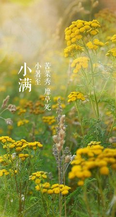 请把我流放到最美的时光里读后感锦集