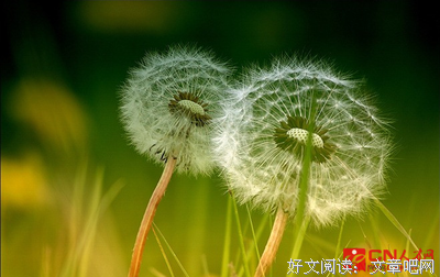 关于义务教育的座右铭