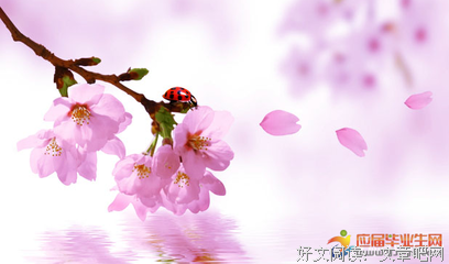 描写饥寒交迫的语句摘抄