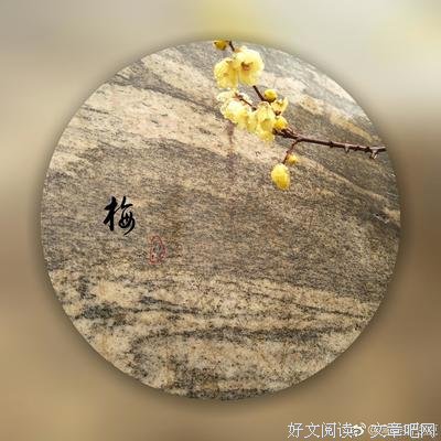 关于风霜雨雪的唯美语录