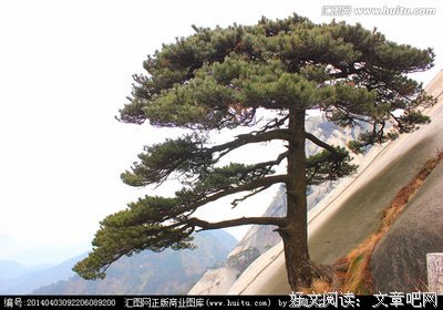 关于阮星座右铭