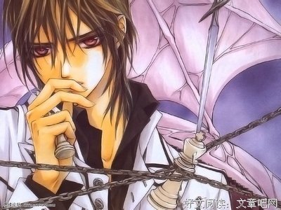 《吸血鬼骑士》好段摘抄