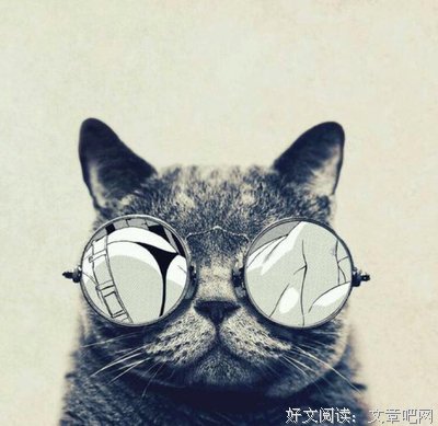 对爱情失望了，想一辈子一个人过，可以吗？