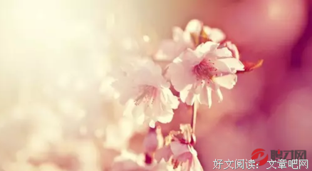 有关作文的句子