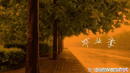 毕业季好词好句