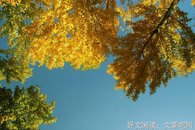 共勉句子大全