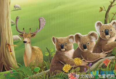《于无色处见繁花》经典读后感有感