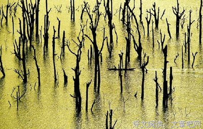 义不容辞的名言_关于义不容辞的名言