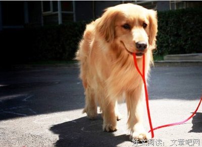 关于迫在眉睫的座右铭
