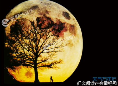 唯美的优美句子