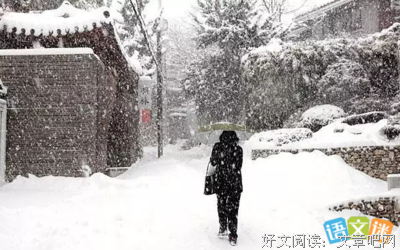 随风优美的句子