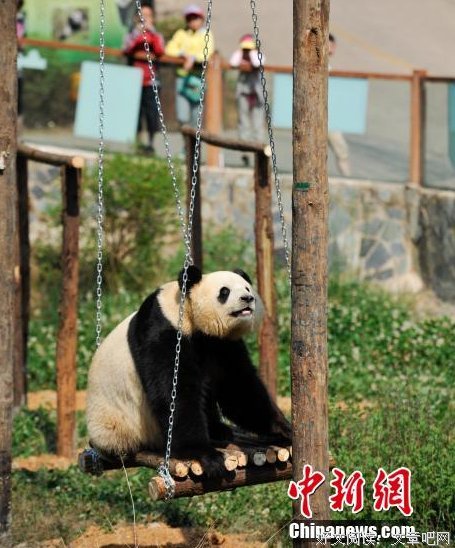 抑郁症能不能装？