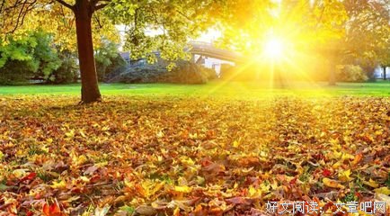  听风句子大全