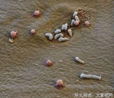 《暗数杀人笔记》读后感摘抄