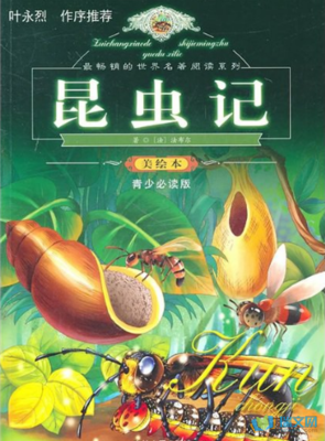 旁观者读后感精选