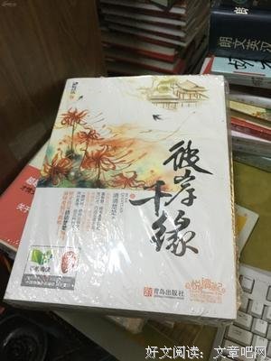 彼岸千缘读后感精选