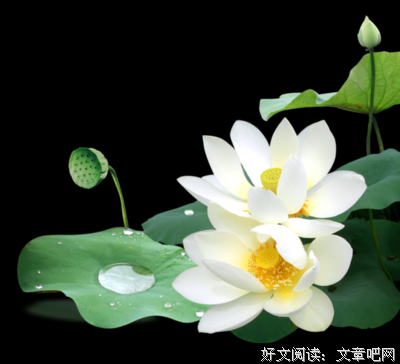 母亲节：致天下所有好母亲！