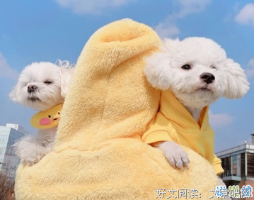 关于经典篇数利的句子