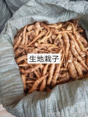 痛，成生地入骨句子