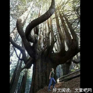 意义的句子