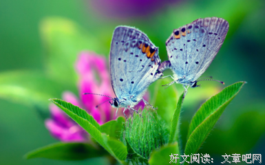 签名说说