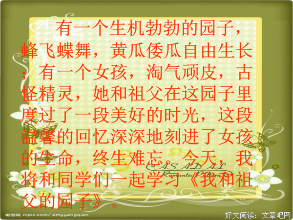 《生命中被辜负的时光》读后感1000字