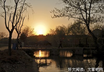 日落而息的名言_关于日落而息的名言
