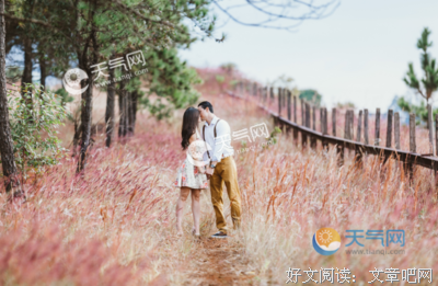 关于一句是象象便明当起作把的句子