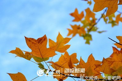 最简单的幸福：有家回，有人等，有饭吃