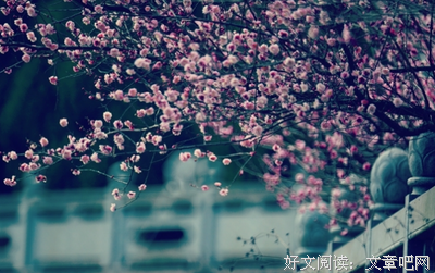 珍藏你的影经典名句