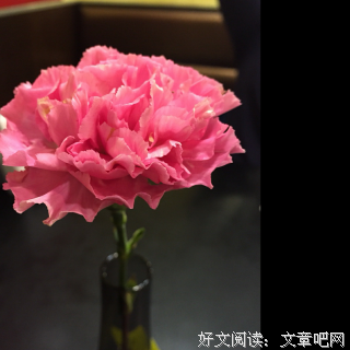 一个女人如何修炼“情绪稳定”的顶级魅力？