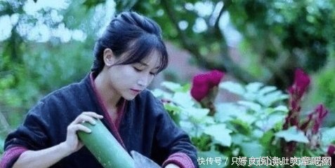 李子柒的小院，真美